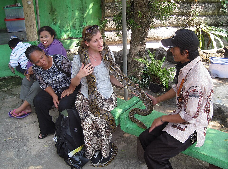 Artis