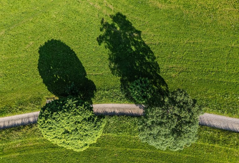Natuurwandelen — Natuur in Amsterdam